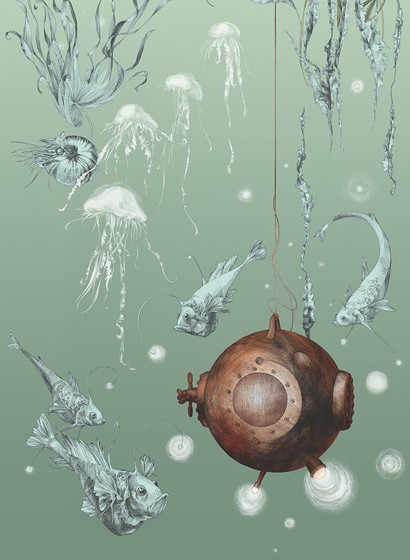 Edmond Petit Papier peint Nautilus/ Méduses/ Nénuphars - Nautilus droit - Aqua
