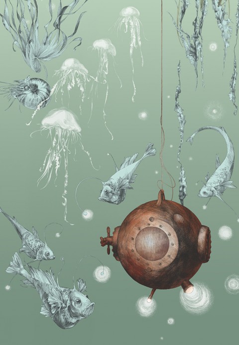 Edmond Petit Papier peint Nautilus/ Méduses/ Nénuphars - Nautilus droit - Aqua