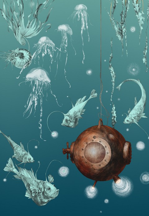 Edmond Petit Papier peint Nautilus/ Méduses/ Nénuphars - Turquoise - Nautilus droit - Turquoise