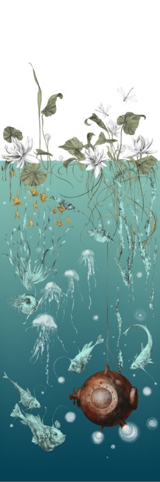 Edmond Petit Wallpaper Nautilus/ Méduses/ Nénuphars - Turquoise