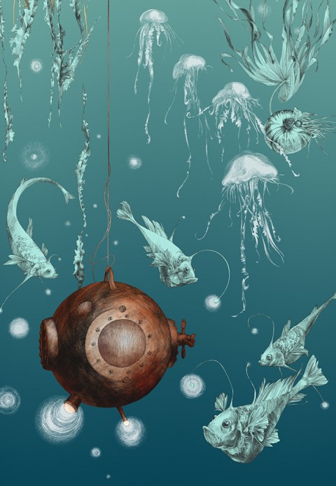 Edmond Petit Papier peint Nautilus/ Méduses/ Nénuphars - Turquoise - Nautilus gauche - Turquoise