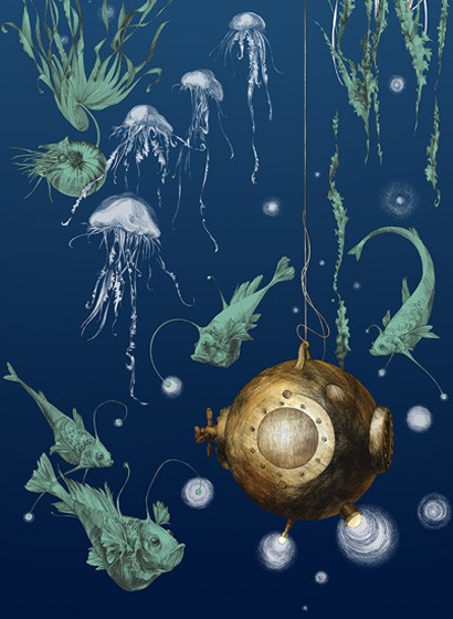 Edmond Petit Wallpaper Nautilus/Méduses/Nénuphars - Marine Nautilus droit - Marine