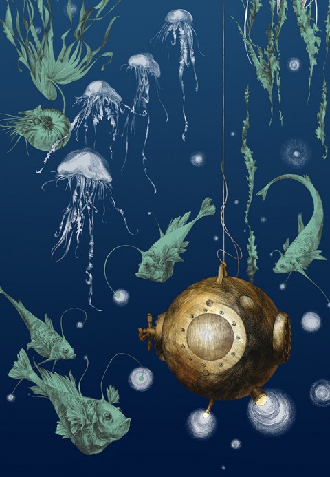 Edmond Petit Papier peint Nautilus/Méduses/Nénuphars - Marine - Nautilus droit - Marine