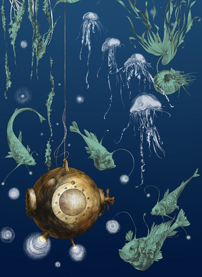 Edmond Petit Wallpaper Nautilus/Méduses/Nénuphars - Marine Nautilus gauche - Marine