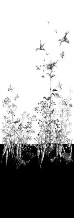 Edmond Petit Wallpaper Licvres/Fenouil/Tournesol - Blanc et Noi