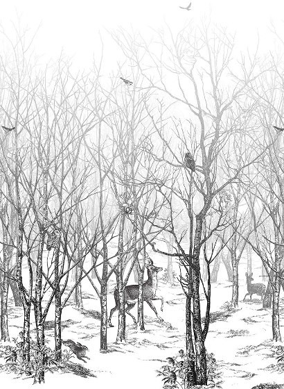 Isidore Leroy Papier peint panoramique Forêt enchantée - Noire/ Blanc