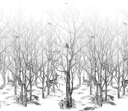 Isidore Leroy Carta da parati panoramica Forêt enchantée - Noire/ Blanc
