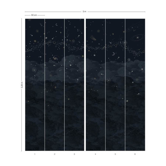 Isidore Leroy Mural Cosmos Nuit
