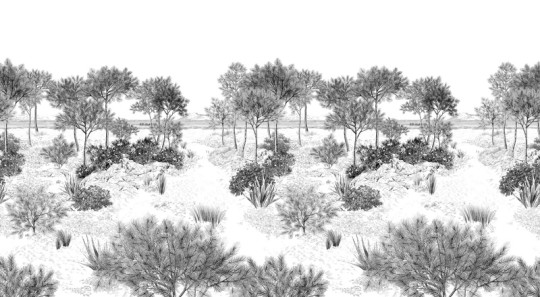 Isidore Leroy Mural Dune Gris