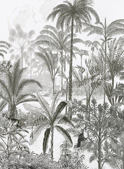 Isidore Leroy Papier peint panoramique Amazone Hoch - Gris
