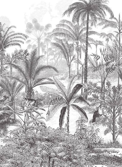 Dschungel Wandbild Amazone Hoch von Isidore Leroy - Acajou