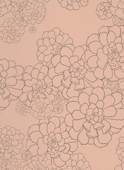 Florale Tapete Aeonium von Paint & Paper Library - Temple