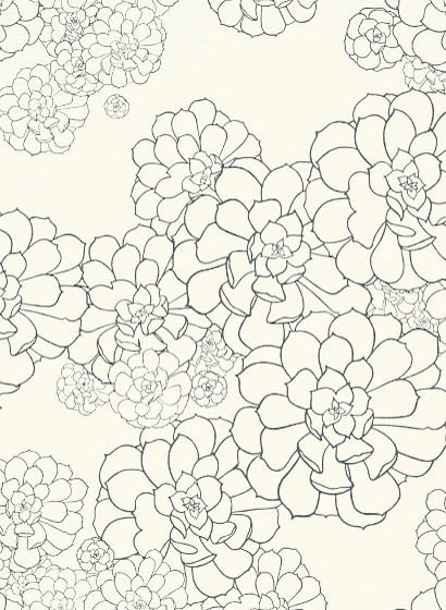 Paint & Paper Library Wallpaper Aeonium Clean White