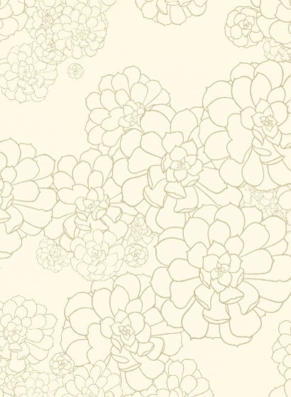 Florale Tapete Aeonium Paint & Paper Library - Wattle