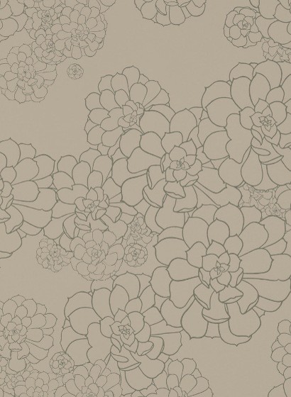Florale Tapete Aeonium Paint & Paper Library - Cotton
