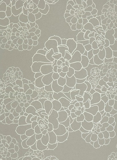 Florale Tapete Aeonium Paint & Paper Library - Steel