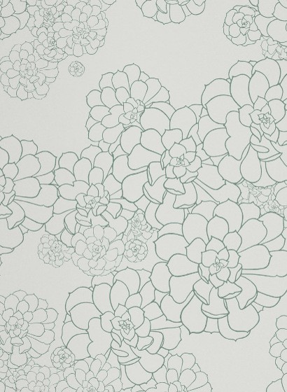 Florale Tapete Aeonium Paint & Paper Library - Blue Gum