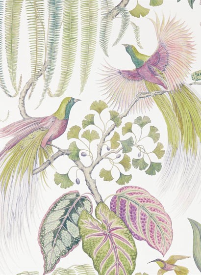 Exotische Tapete Bird of Paradise von Sanderson - Orchid