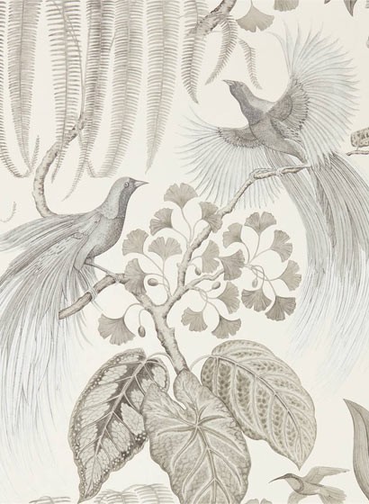 Exotische Tapete Bird of Paradise von Sanderson - Linen