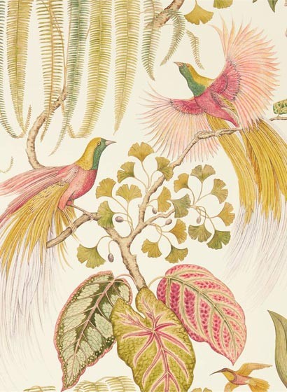Exotische Tapete Bird of Paradise von Sanderson - Olive