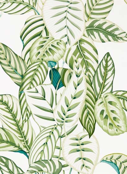 Sanderson Papier peint Calathea - Botanical Green