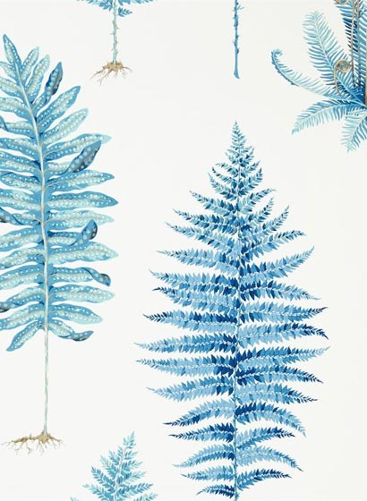 Sanderson Papier peint Fernery - China Blue
