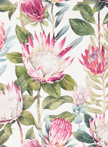 Blumen Tapete King Protea von Sanderson - Rhodera/ Cream