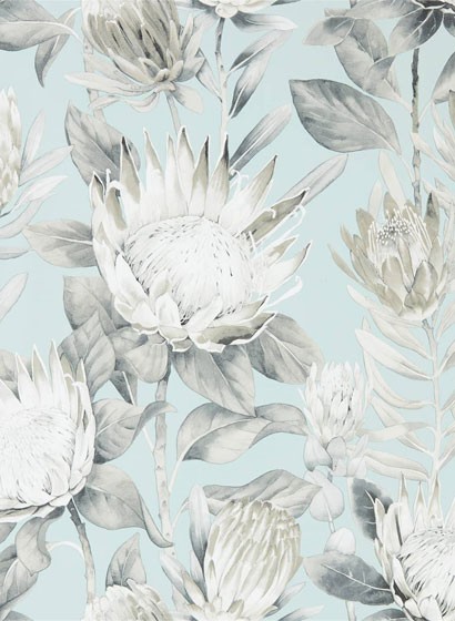 Blumen Tapete King Protea von Sanderson - Aqua/ Linen