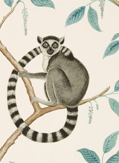 Sanderson Papier peint Ringtailed Lemur - Stone/ Eucalyptus