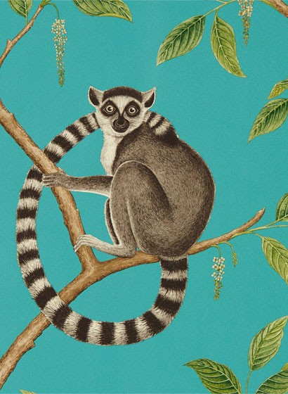 Sanderson Carta da parati Ringtailed Lemur - Teal