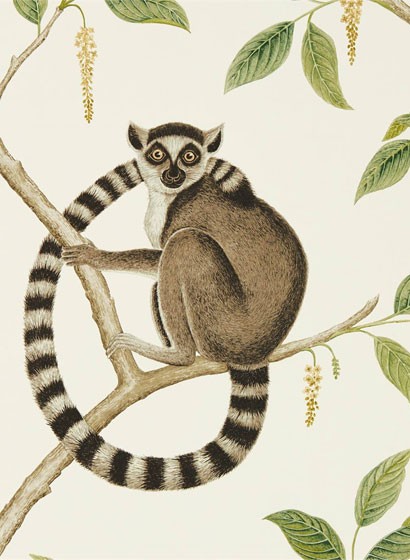 Sanderson Papier peint Ringtailed Lemur - Cream/ Olive