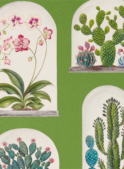 Sanderson Papier peint Terrariums - Botanical Green/ Multi