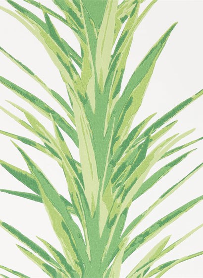 Tapete Yucca von Sanderson - Botanical Green