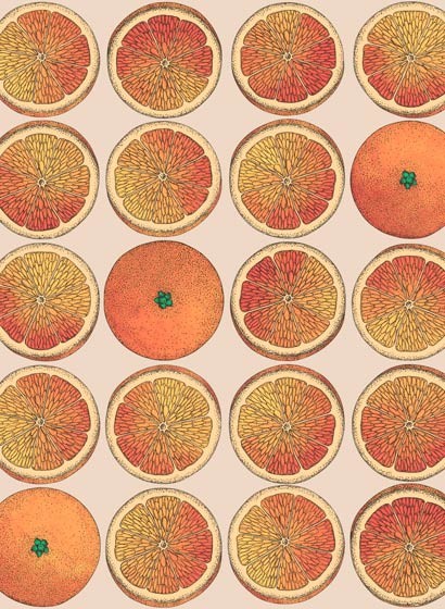Fornasetti Früchte-Tapete Arance von Cole and Son - Orange