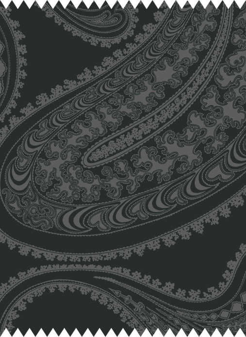 Cole & Son Stoff Rajapur Velvet - Charcoal on Black