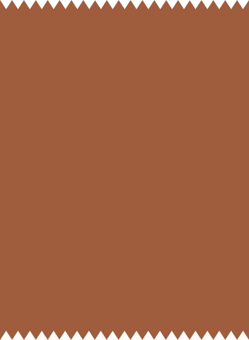 Cole & Son Tessuto Colour Box Velvet - Ginger