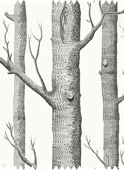 Cole & Son Stoff Woods Linen Union - Black on White