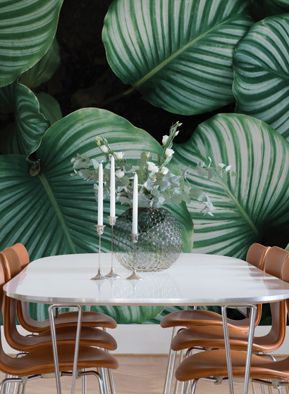 Rebel Walls Mural Beetle Valley