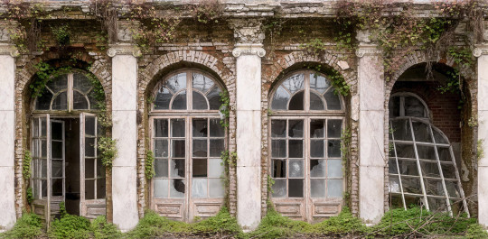 Rebel Walls Papier peint panoramique Ruin Romance