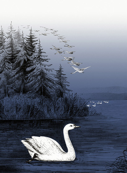 Landschaftstapete Swan Lake von Rebel Walls - Nightfall