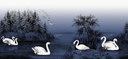 Rebel Walls Carta da parati panoramica Swan Lake - Nightfall