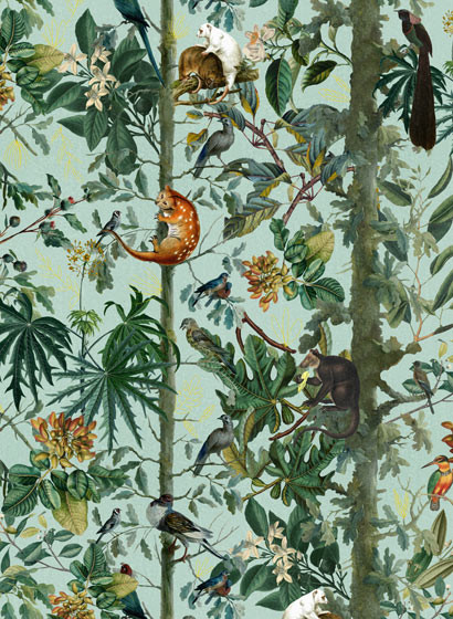 Mindthegap Papier peint Wildlife of Papua - WP20528