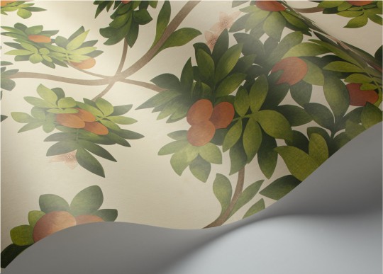 Cole & Son Wallpaper Orange Blossom Orange/ Spring Green on Parchment