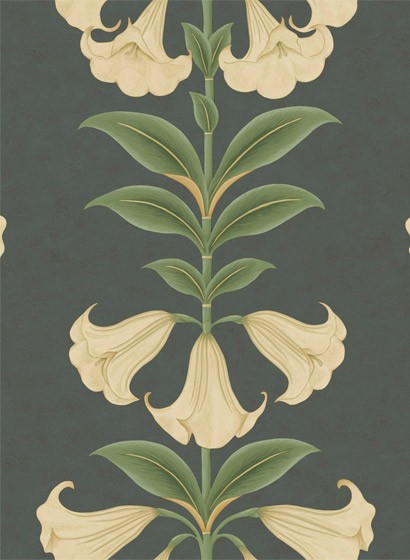Cole & Son Papier peint Angels Trumpet - Cream/ Olive Green on Charcoal