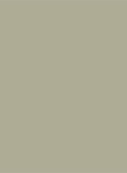 Sanderson Water Based Eggshell - Sage Grey 58 - 1l