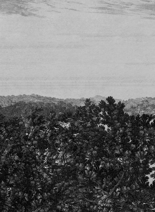 Sandberg Carta da parati panoramica Oak View - Graphite