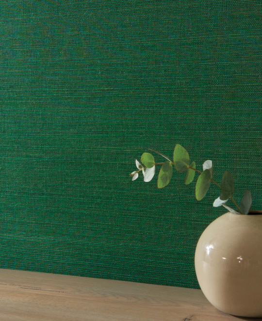 Osborne & Little Tapete Kanoko Grasscloth