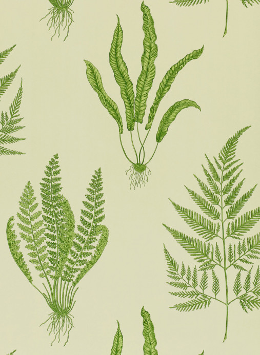 Sanderson Carta da parati Woodland Ferns - Green