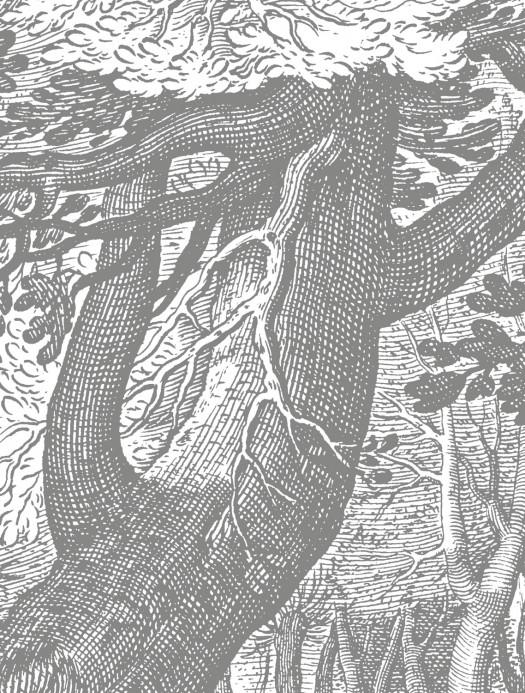 KEK Amsterdam Mural Engraved Landscapes 4