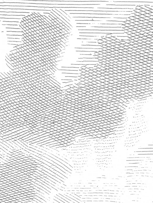 KEK Amsterdam Wandbild Engraved Clouds 2
